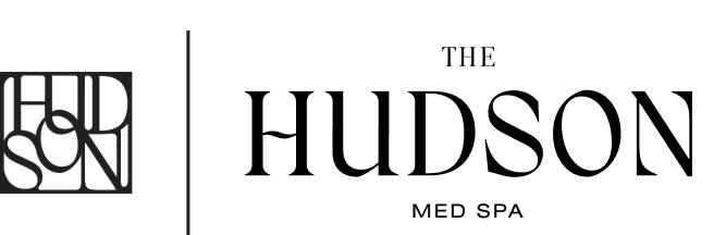 Logo design for Hudson brand.